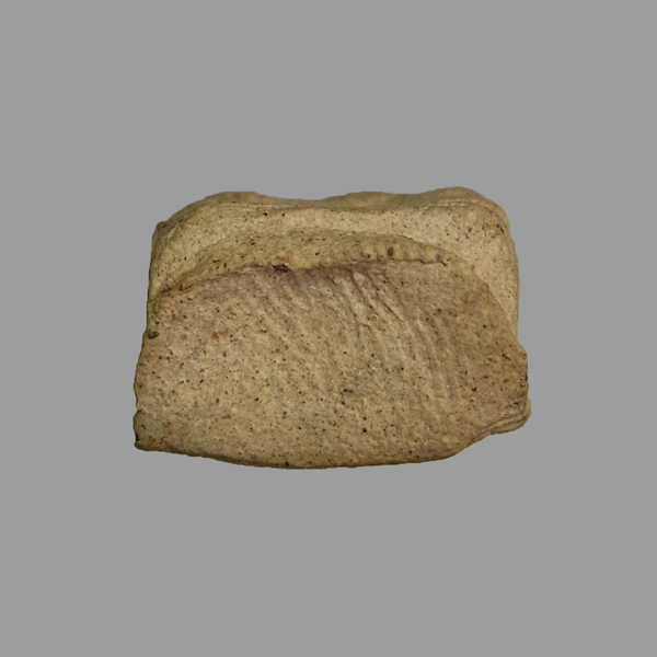 พระรอดมหาวัน ปางมารวิชัย ปี2518 ปลุกเสกอินเดีย