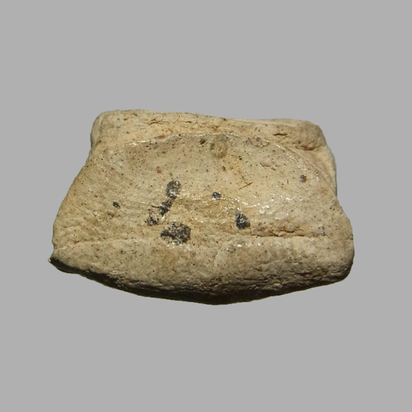 พระรอดมหาวัน ปางมารวิชัย ปี2518 ปลุกเสกอินเดีย