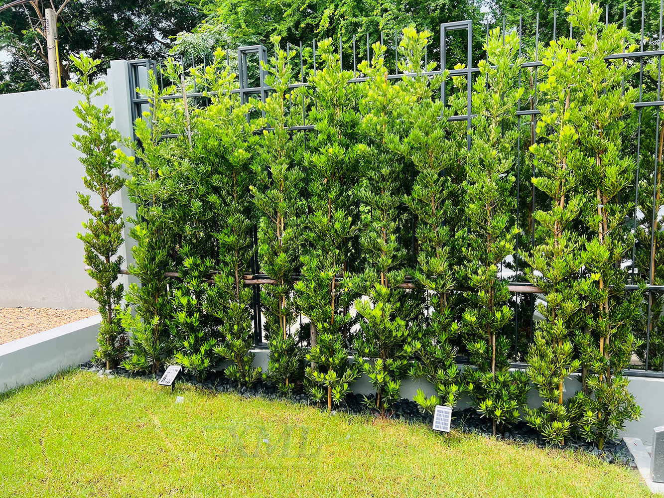 สปอร์ตไลท์ปักสนามโซล่าเซลล์ รุ่น SSL-001