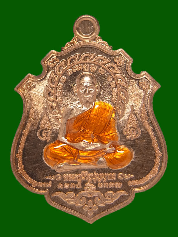 เหรียญพยัคฆ์เงินล้าน หลวงพ่อพัฒน์ ปี2563