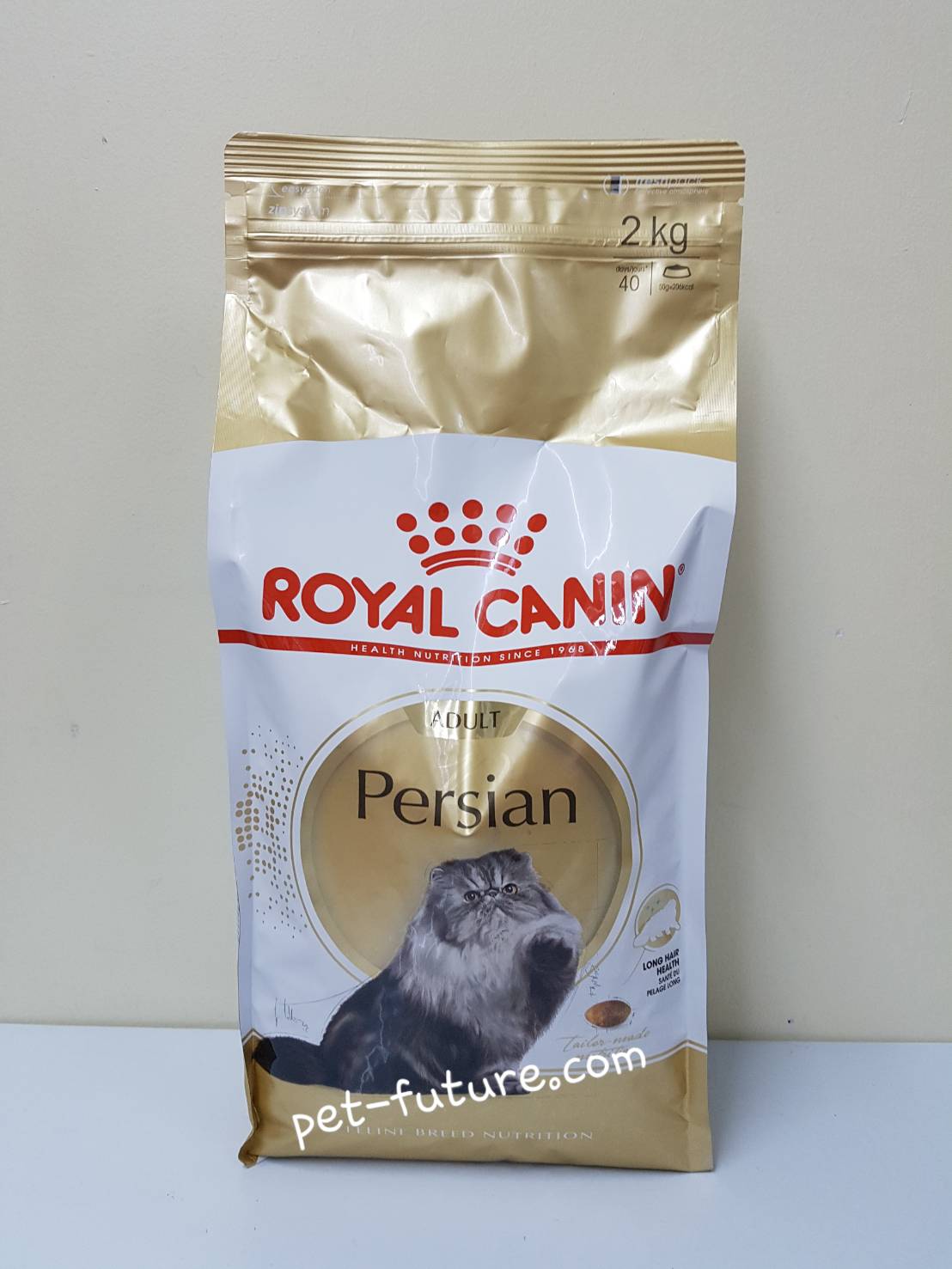 FBN Persian ขนาด 2 kg. แมวโตเปอร์เซีย 12 เดือนขึ้นไป