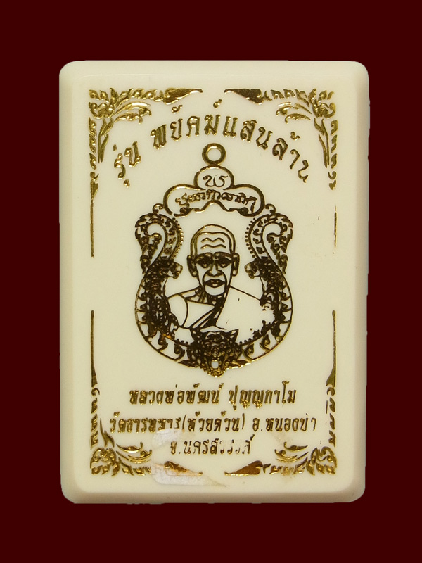 เหรียญพยัคฆ์แสนล้าน หลวงพ่อพัฒน์ ปี2563