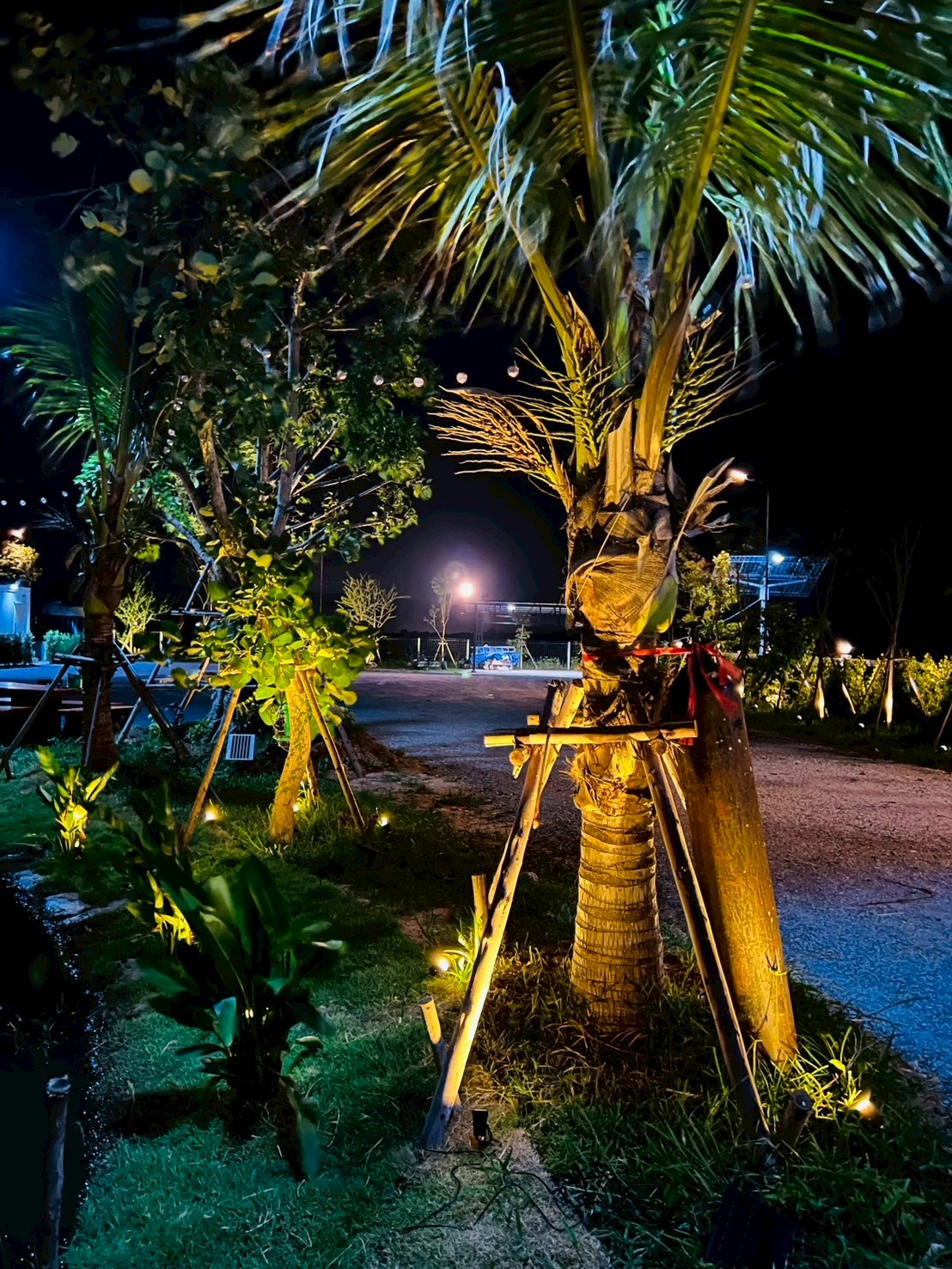 สปอร์ตไลท์ปักสนามโซล่าเซลล์ DC-11S รุ่น 4 หัว สาย 3 เมตร (หัวเล็ก)(แสง : เหลืองวอมไวท์)