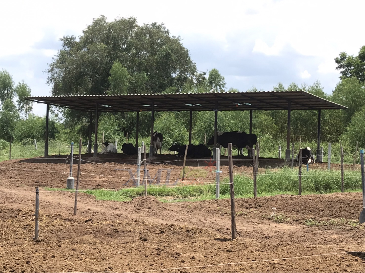 ไฟตุ้มโซล่าเซลล์ชนิดไล่ยุง รุ่น 150w (แสงสีส้ม)(แผงใหญ่)