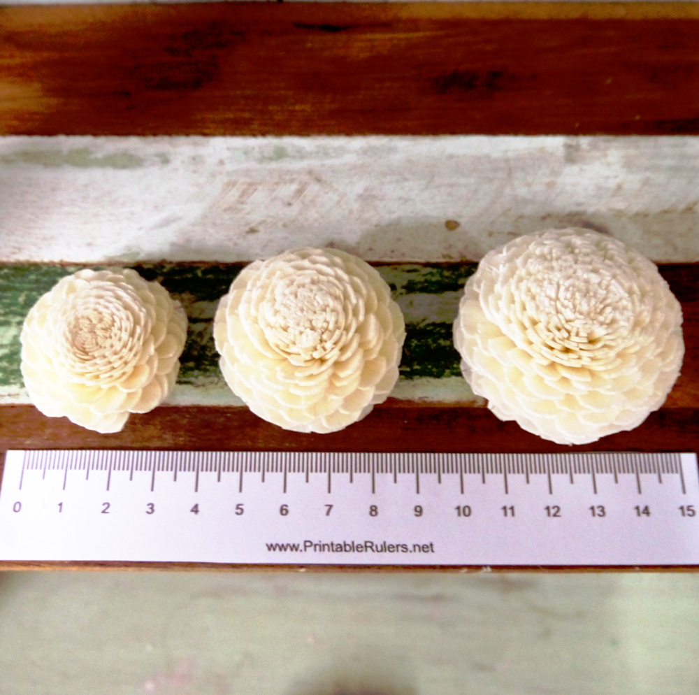 ดอกไม้ดูดน้ำหอม มะลิซ้อน 5cm Dia.