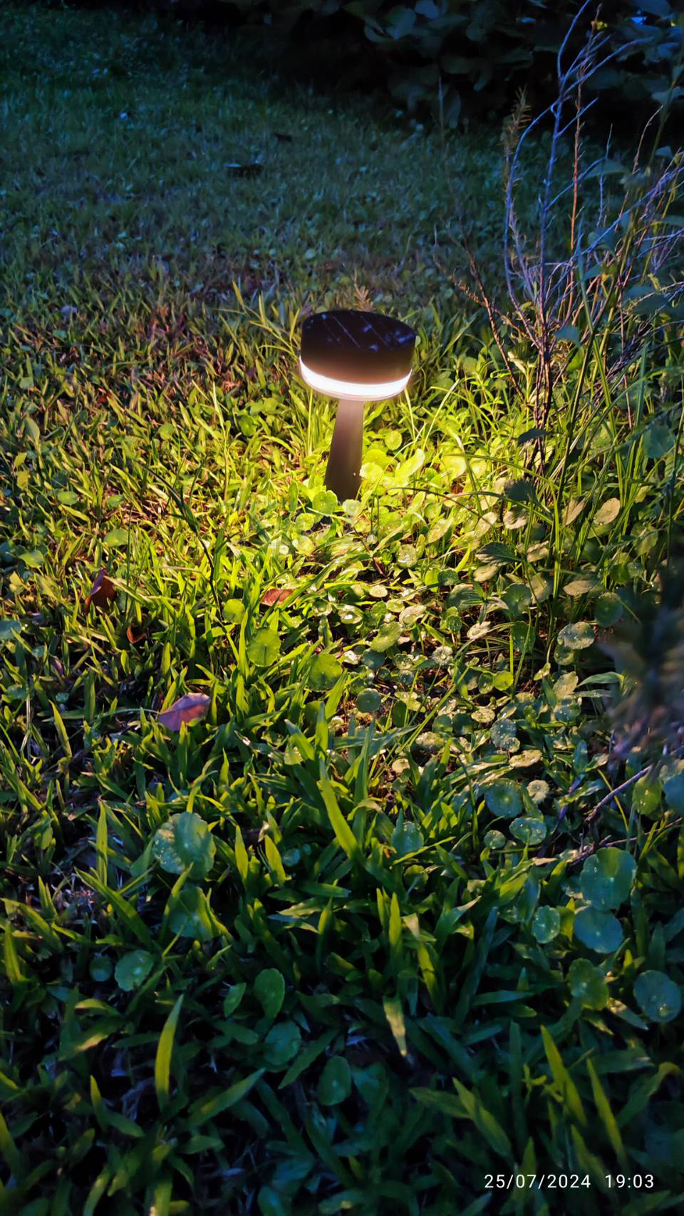 โคมไฟปักสนามโซล่าเซลล์ รุ่น MD-SSL04