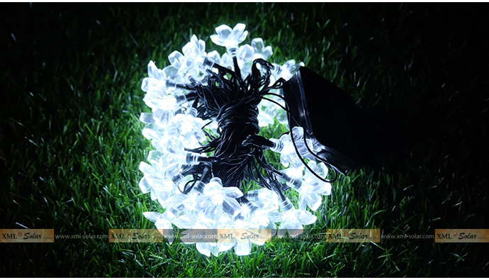 ไฟกระพริบโซล่าเซลล์ รูป ดอกไม้ 50 ดอก (เเสง : ขาว)