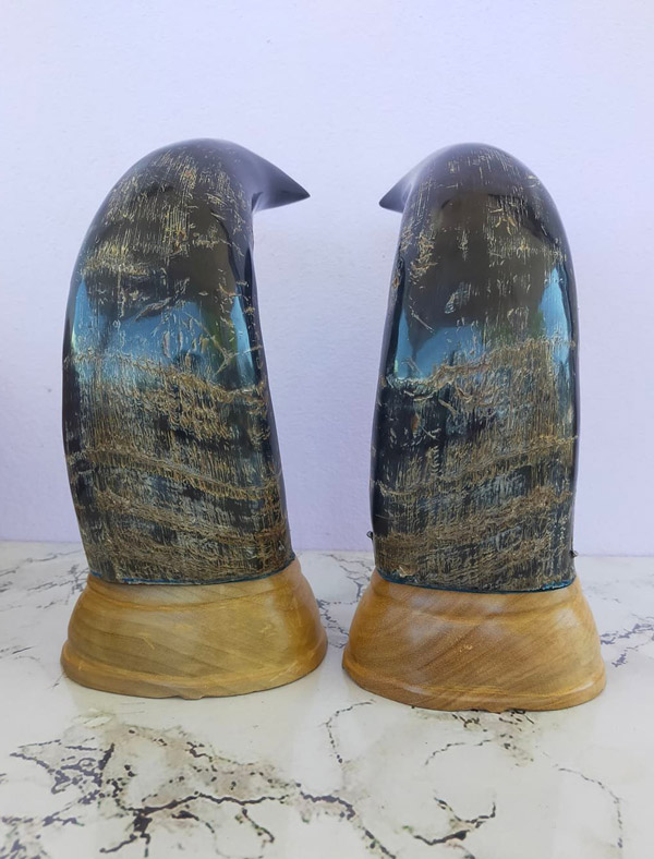 เขาวัวคู่ฐานไม้ สูง 9 นิ้ว