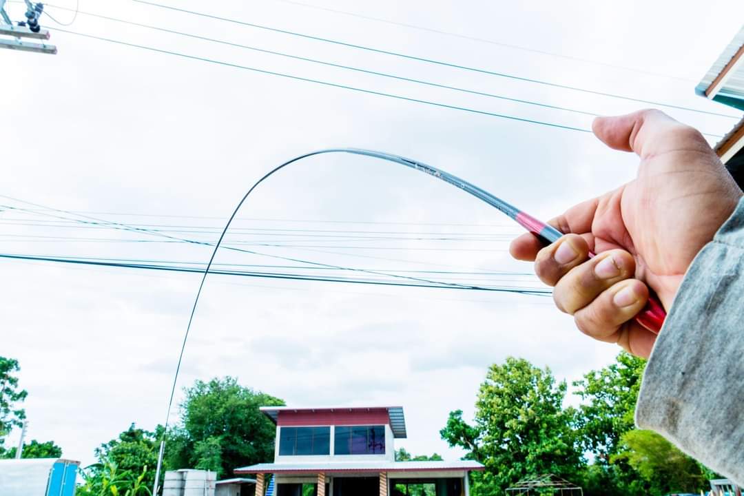 คันชิงหลิวตกกุ้ง ตกปลา ทาอิโยะ เวทแข็ง แพคสั้น45cm