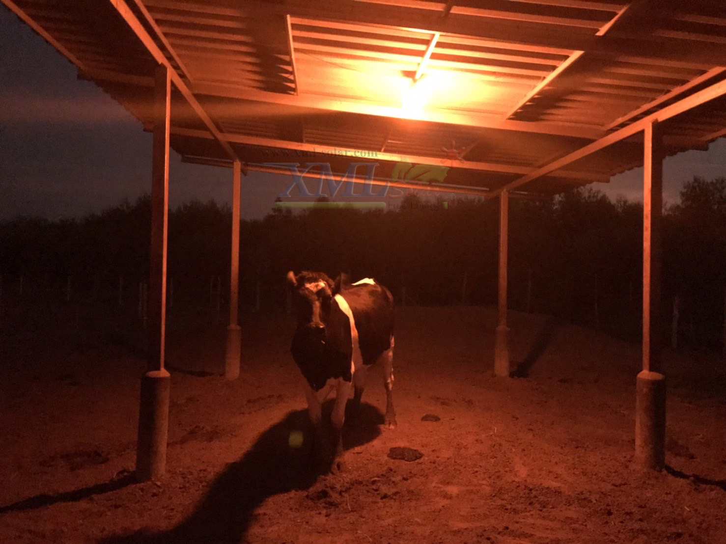 ไฟตุ้มโซล่าเซลล์ชนิดไล่ยุง รุ่น 150w (แสงสีส้ม)(แผงใหญ่)