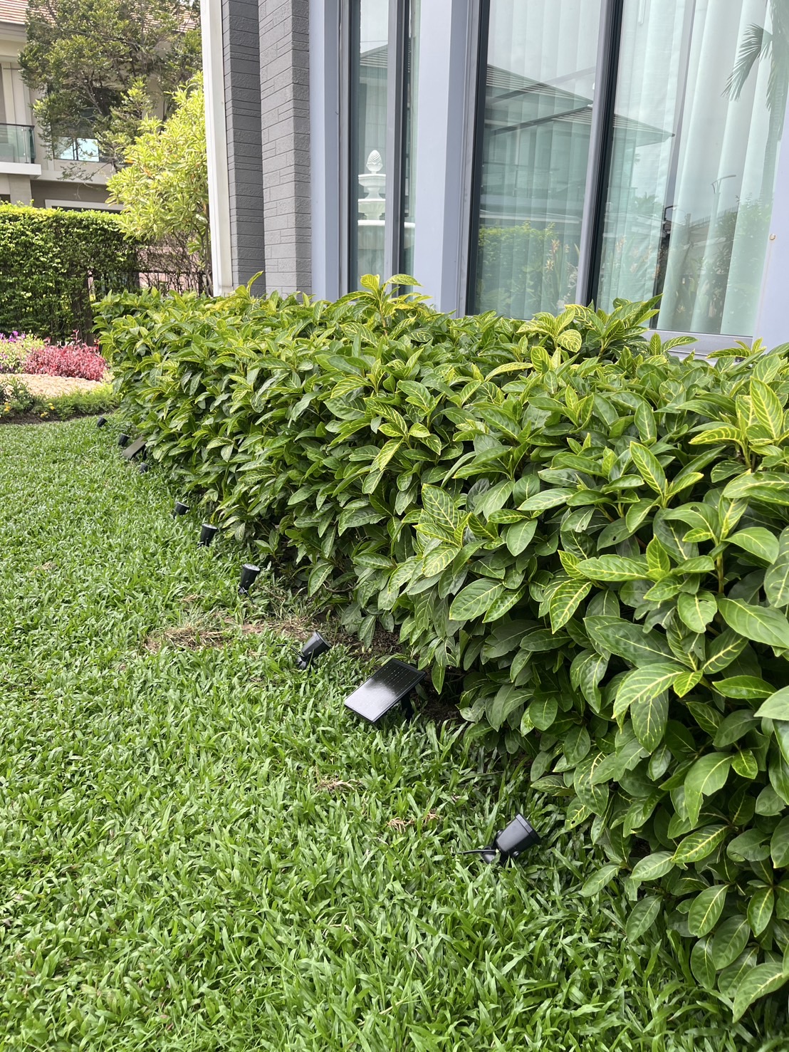 สปอร์ตไลท์ปักสนามโซล่าเซลล์ DC-17 รุ่น 4 หัว สาย 3 เมตร (แสง : เหลืองวอมไวท์)