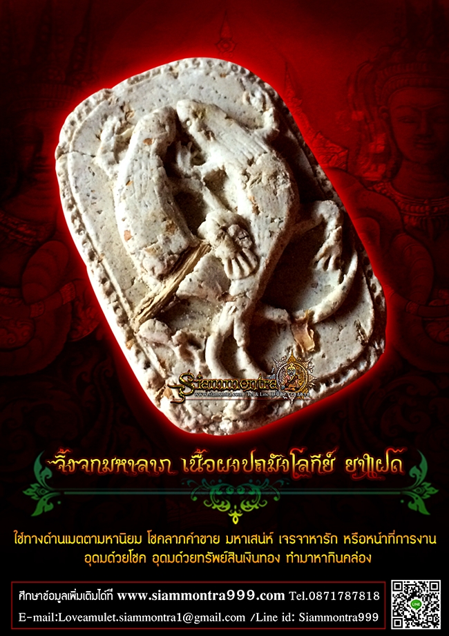 จิ้งจก มหาลาภ