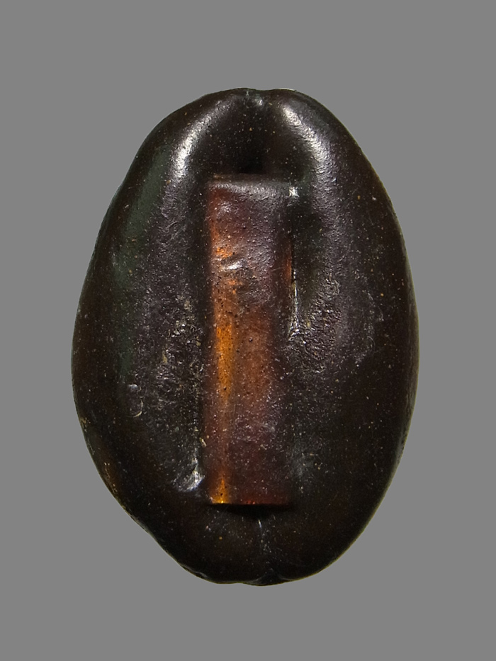 เบี้ยแก้ หลวงพ่อเกษม เขมโก รุ่นสุริยุปราคา ปี2538