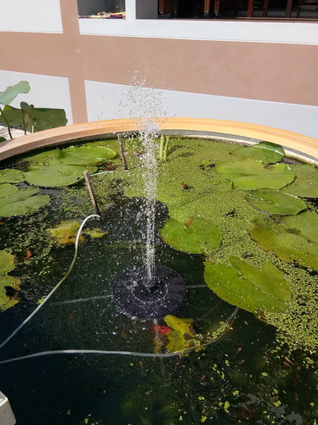 Fountain with solar energy (Circle shape)