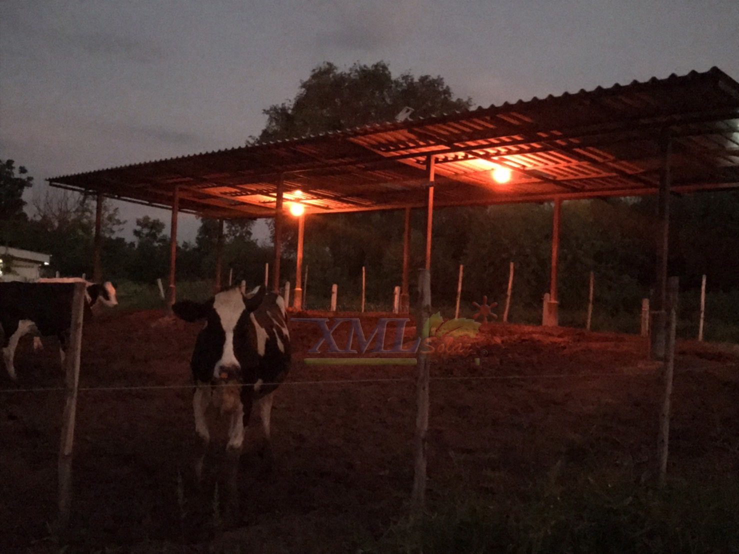 ไฟตุ้มโซล่าเซลล์ชนิดไล่ยุง รุ่น 150w (แสงสีส้ม)(แผงใหญ่)