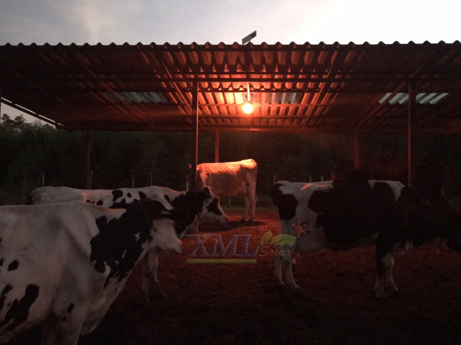 ไฟตุ้มโซล่าเซลล์ชนิดไล่ยุง รุ่น 150w (แสงสีส้ม)(แผงใหญ่)