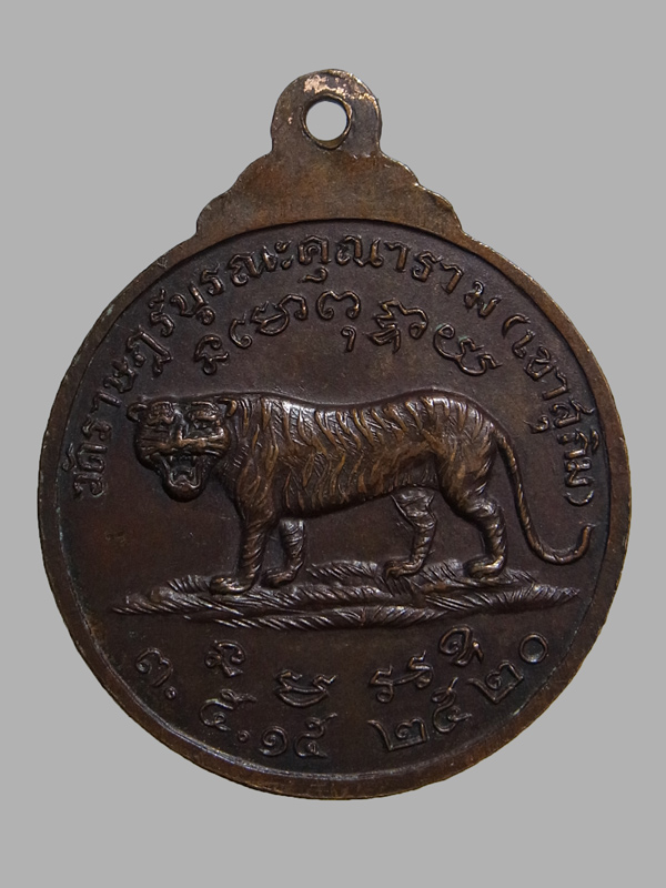 เหรียญหลังเสือยืน หลวงพ่อสมชาย วัดเขาสุกิม ปี2520