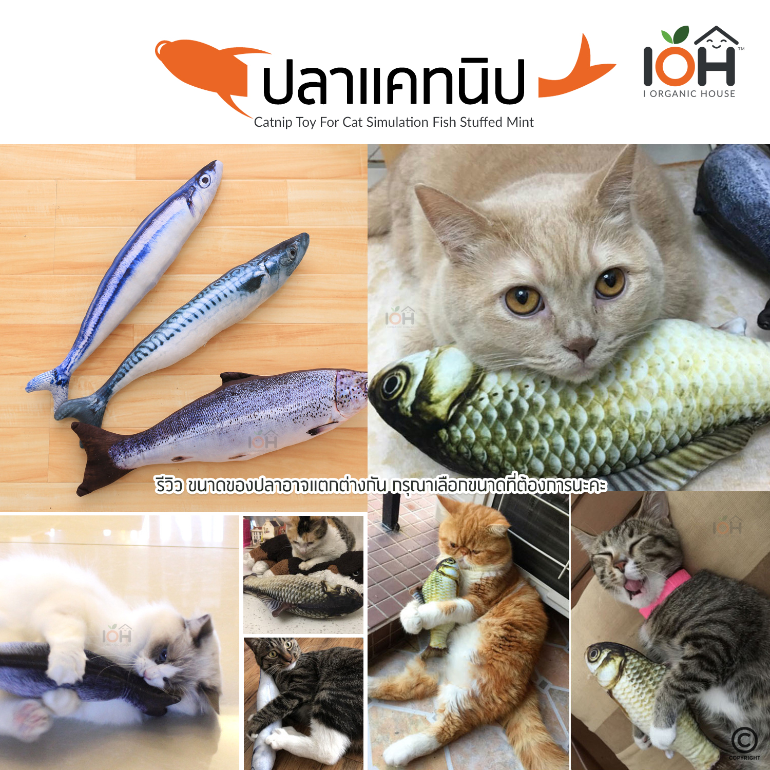 IOH ตุ๊กตาแคทนิป ปลาแคทนิป ของเล่นแมว แคทนิป มาทาทาบิ 20 CM (พร้อมส่ง)