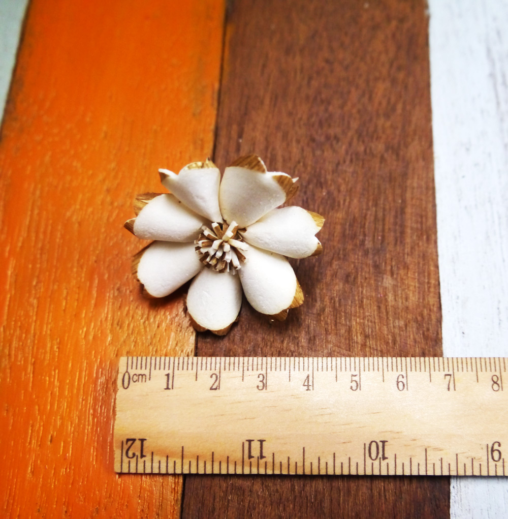 ดอกผีเสื้อ 4cm Dia.