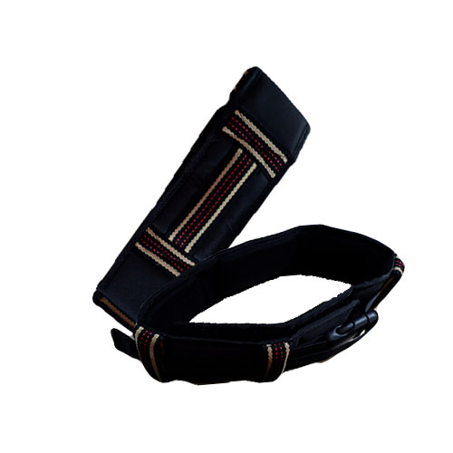 เข็มขัดพยุงเดิน Safety transfer belt