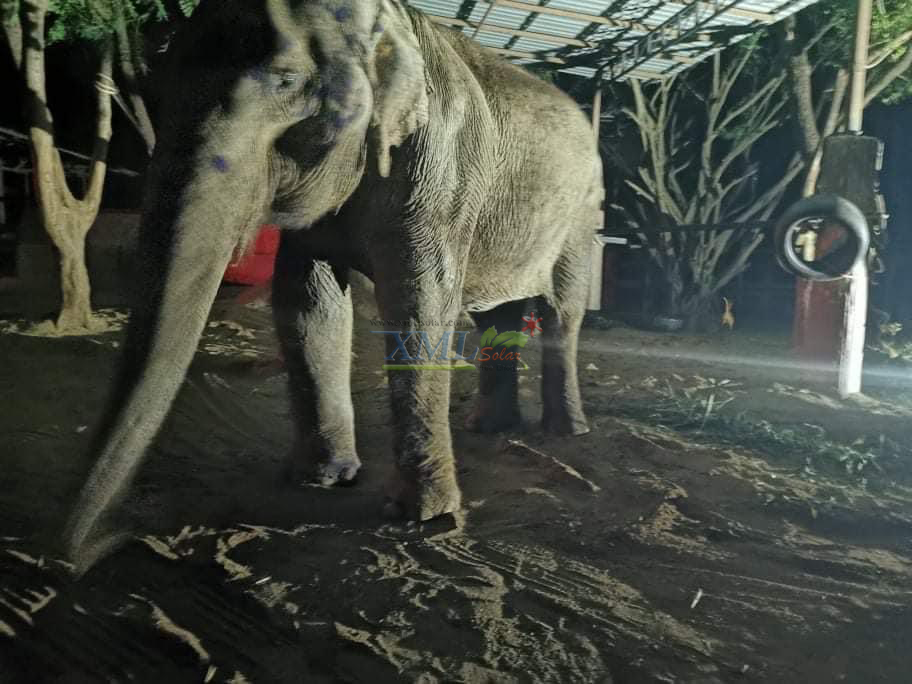 ไฟสปอตไลท์โซล่าเซลล์ 200 Watt กล่องสีน้ำตาล (เปิดได้ 3 แสง)