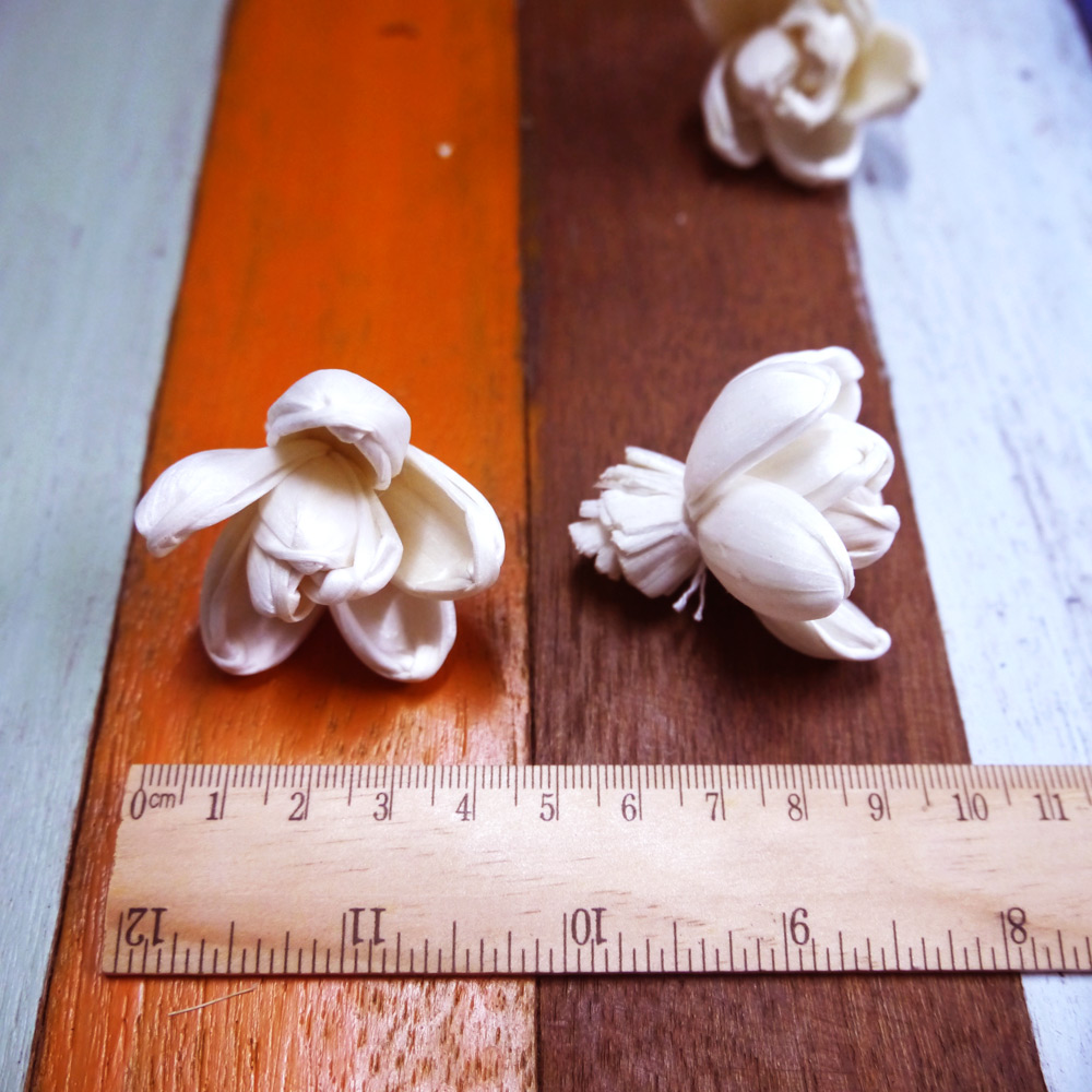 ดอกโลตัส 3.5cm Dia.