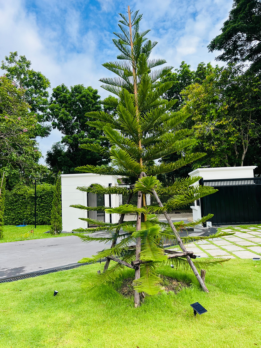 สปอร์ตไลท์ปักสนามโซล่าเซลล์ DC-17 รุ่น 4 หัว สาย 3 เมตร (แสง : เหลืองวอมไวท์)