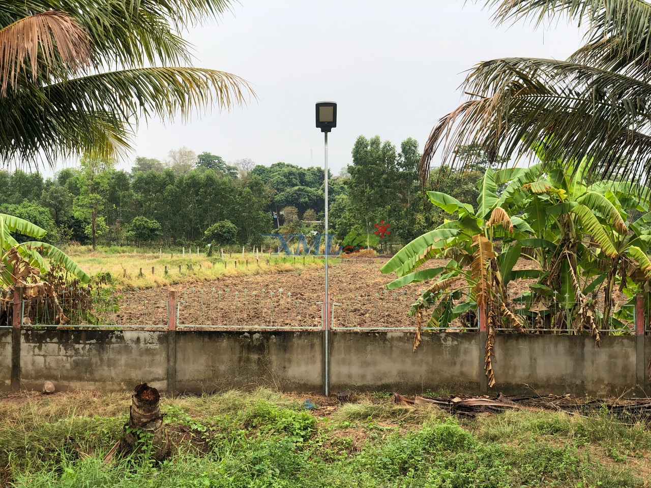 โคมไฟถนนโซล่าเซลล์ Modi x XML รุ่น MD-SLT17-400W (แสง : ขาว)(Motion sensor + สว่างค้าง)