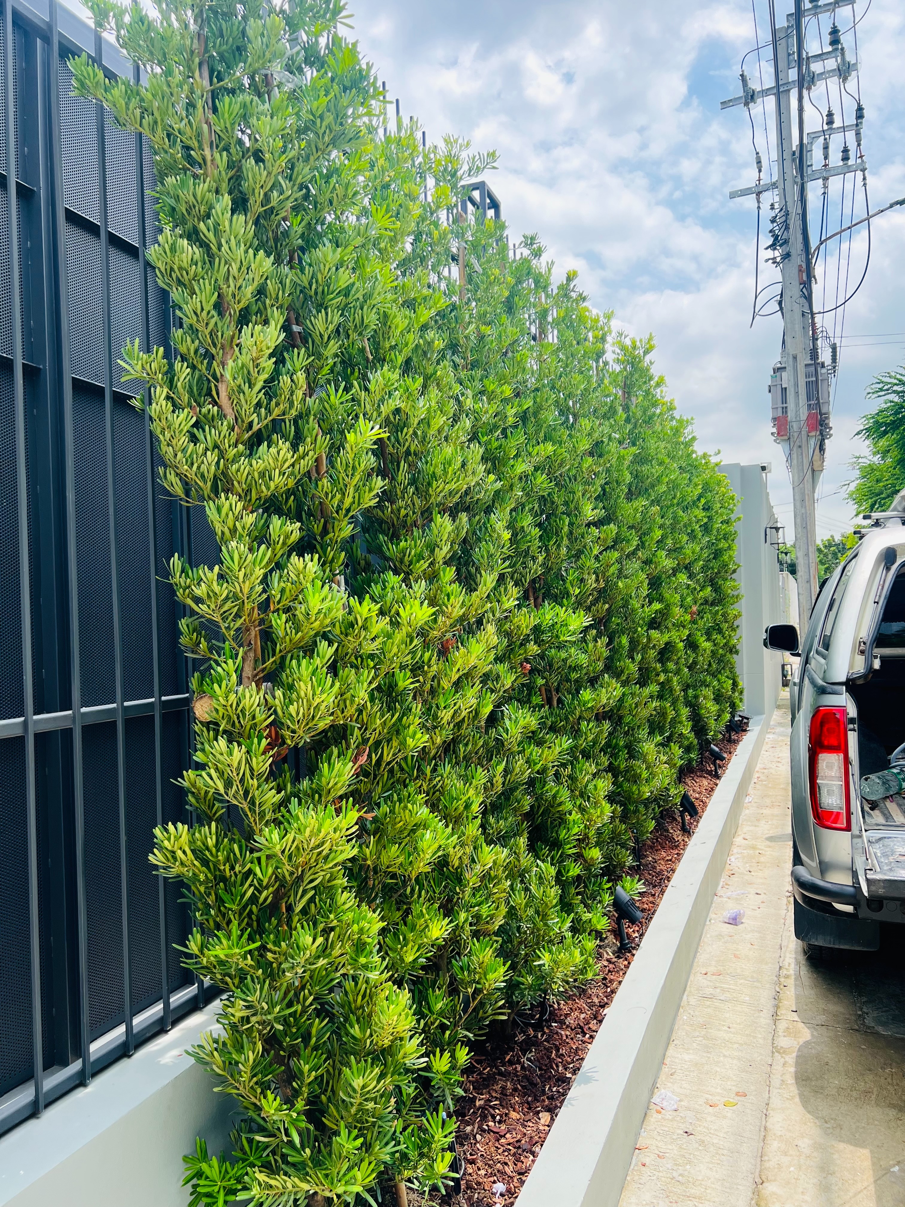 โคมไฟปักสนามโซล่าเซลล์ แพ็ค 4 ดวง รุ่น MD-SSL88 (แสง : เหลืองวอมไวท์)