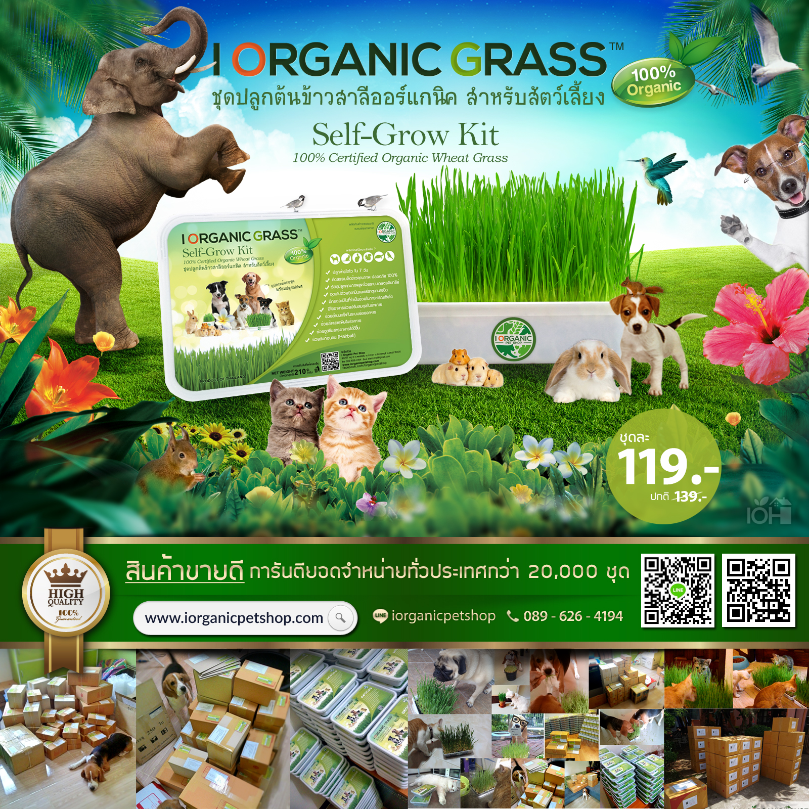 i Organic Grass™ ชุดปลูกข้าวสาลี สำหรับสัตว์เลี้ยง