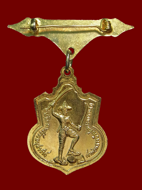 เหรียญหลวงพ่อวัดดอนตัน หลังเจ้าพญาผานอง ปี2521