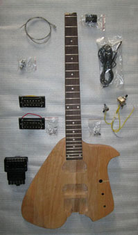 bird shape headless electric guitar D.I.Y.