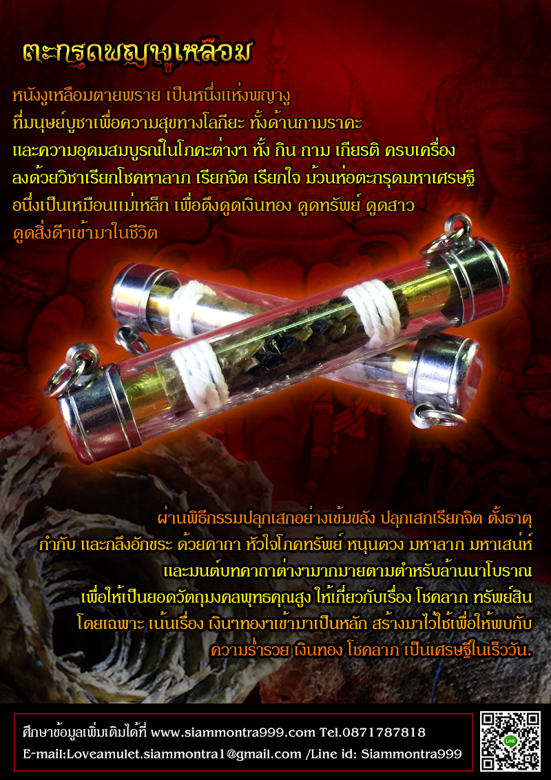 ตะกรุดพญางูเหลือม หนุนดวงเศรษฐี (ตะกรุดหนังงูเหลือมตายพราย)