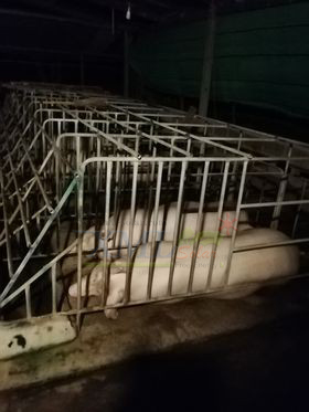 ไฟสปอตไลท์โซล่าเซลล์ 50 Watt กล่องสีน้ำตาล (เปิดได้ 3 แสง)