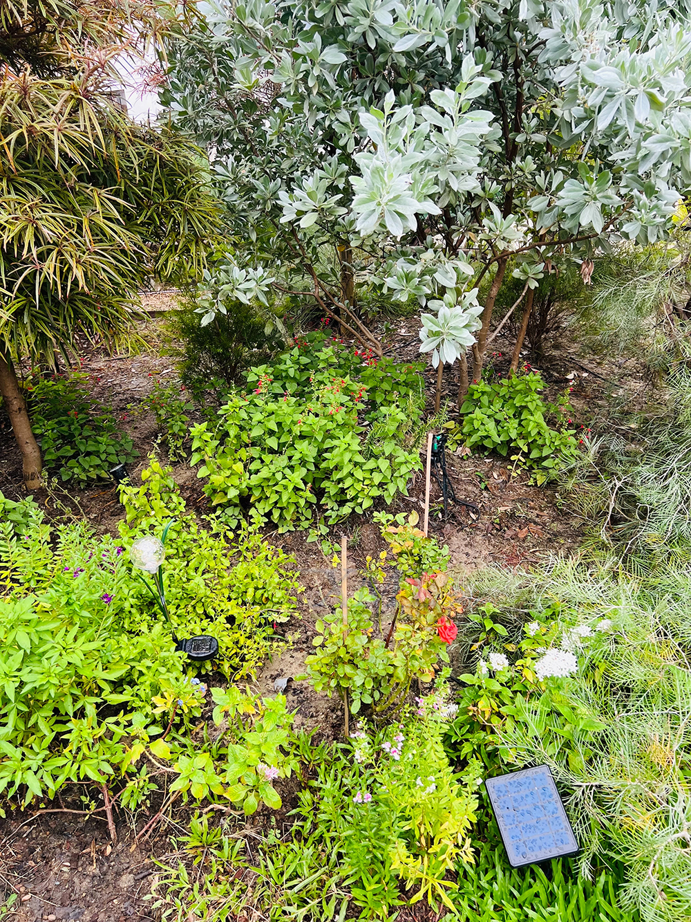 สปอร์ตไลท์ปักสนามโซล่าเซลล์ DC-17 รุ่น 4 หัว สาย 3 เมตร (แสง : เหลืองวอมไวท์)