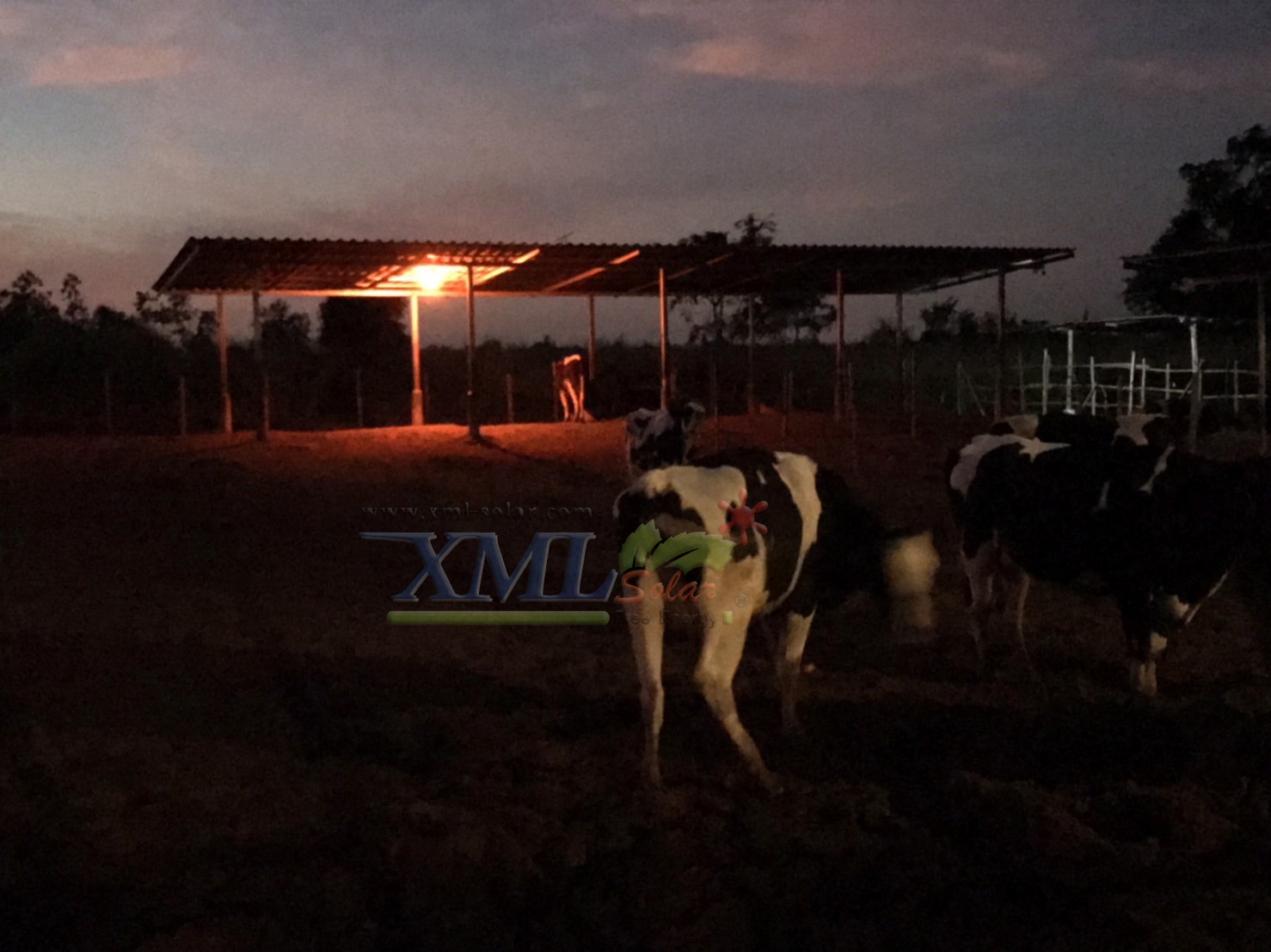 ไฟตุ้มโซล่าเซลล์ชนิดไล่ยุง รุ่น 150w (แสงสีส้ม)(แผงใหญ่)