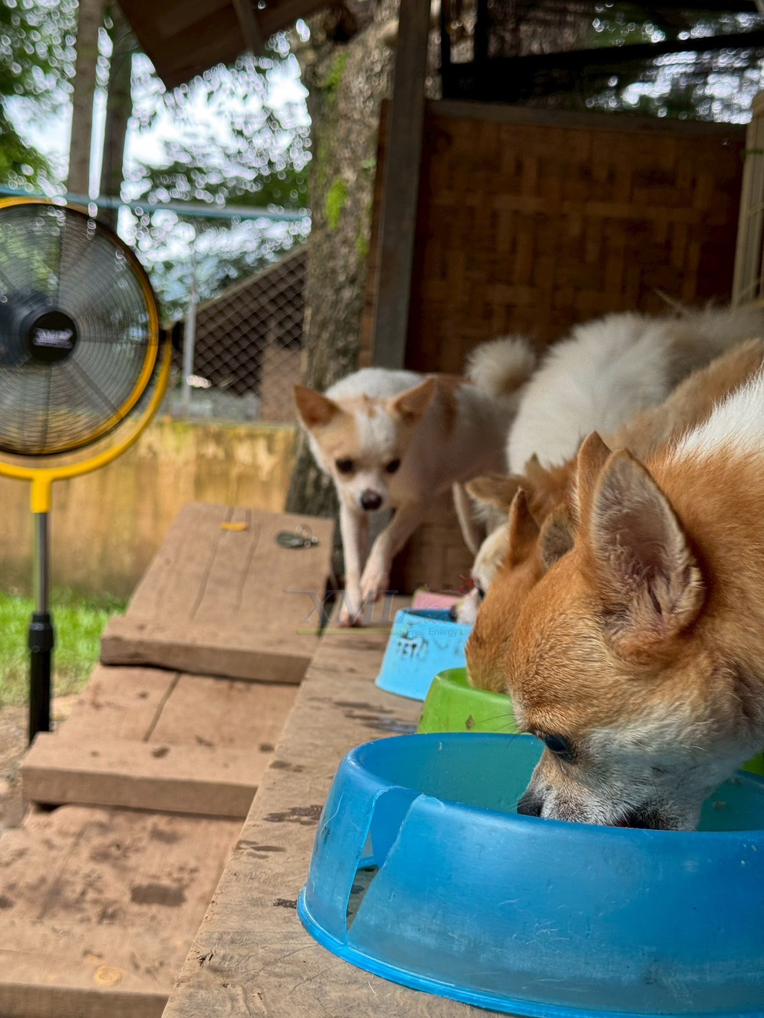 พัดลมโซล่าเซลล์ 14 นิ้ว รุ่น SP-SF-818-D