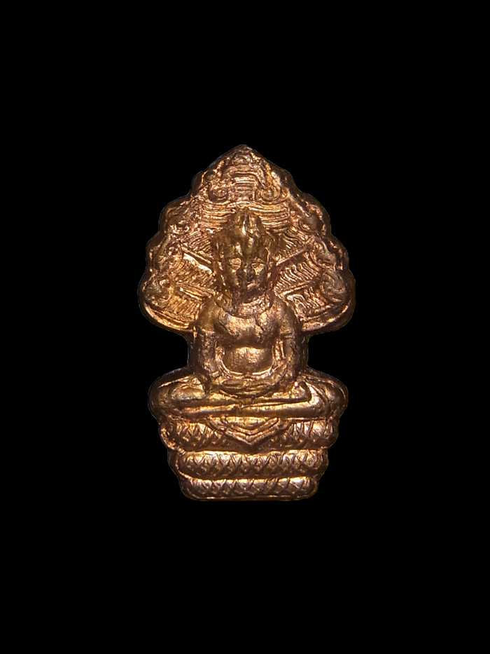 พระนาคปรกใบมะขาม หลวงปู่หงษ์ พรหมปัญโญ ปี2555