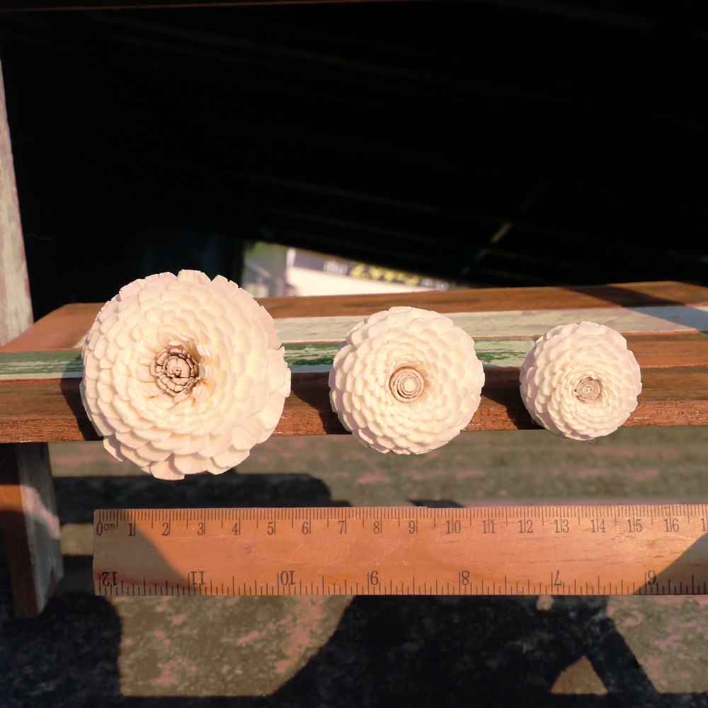 ดอกบานชื่น 4cm Dia.