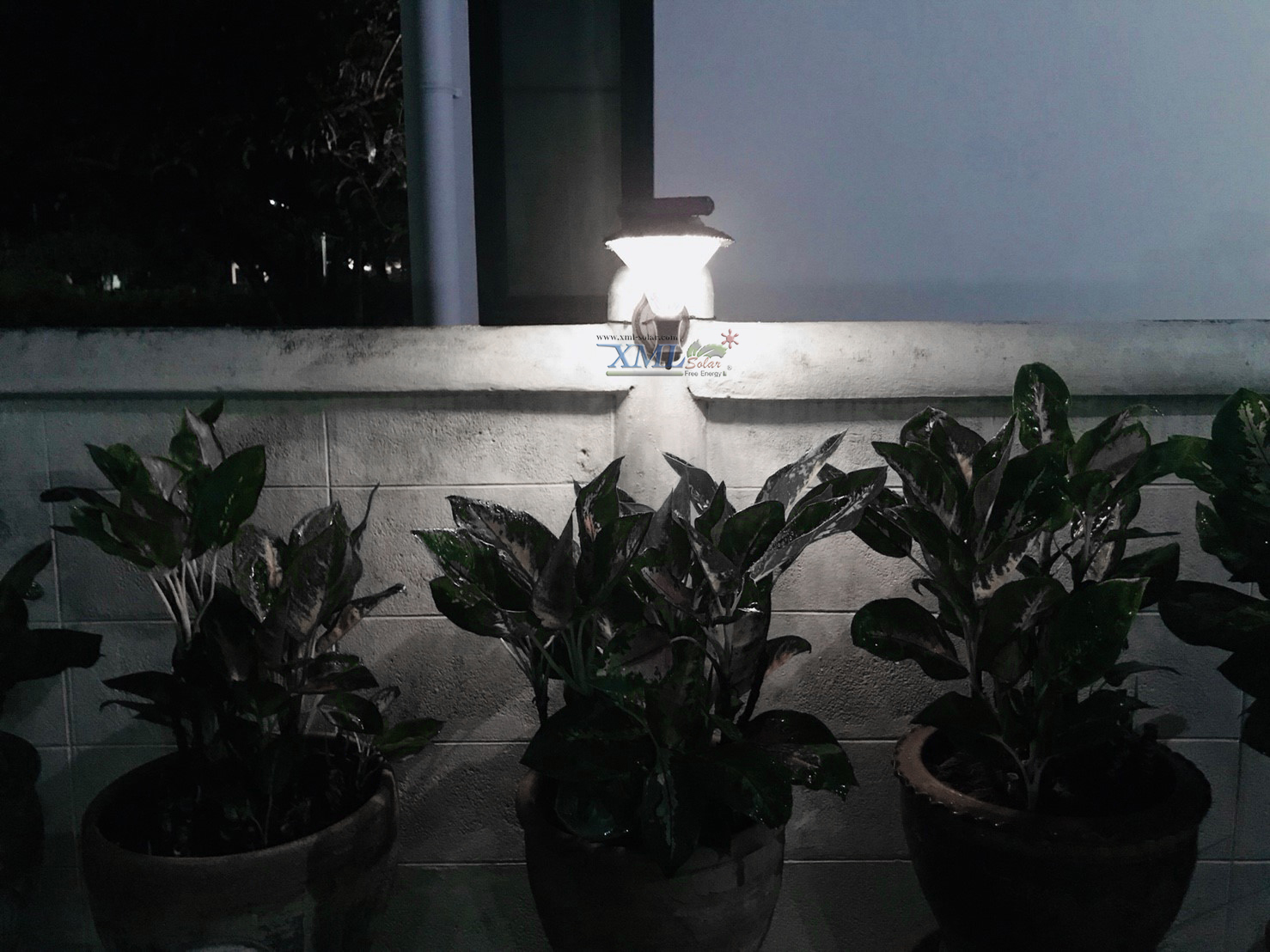 โคมไฟกิ่งโซล่าเซลล์ 60 SMD LED (เเสง : ขาว)