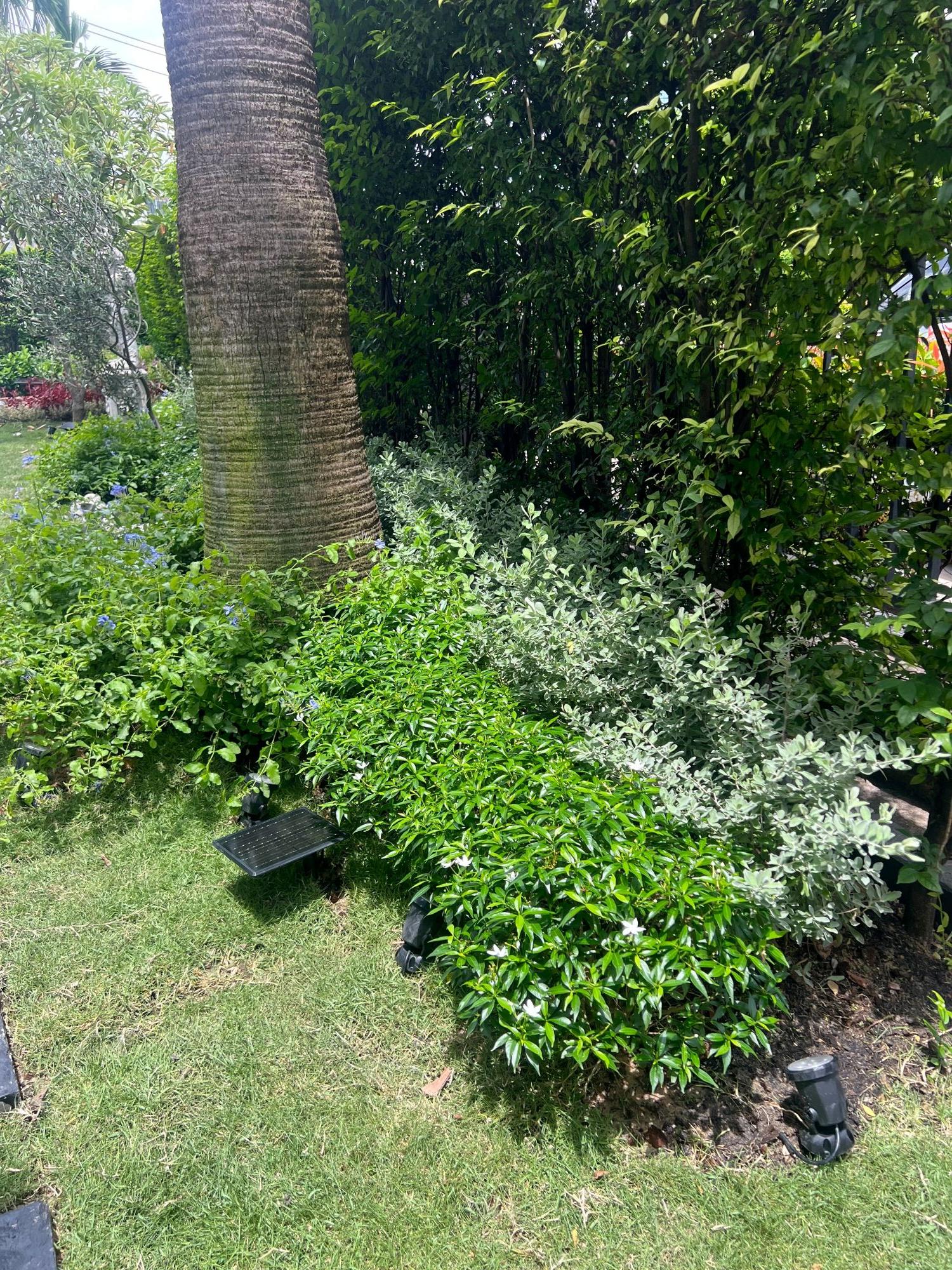 สปอร์ตไลท์ปักสนามโซล่าเซลล์ DC-17 รุ่น 4 หัว สาย 3 เมตร (แสง : เหลืองวอมไวท์)