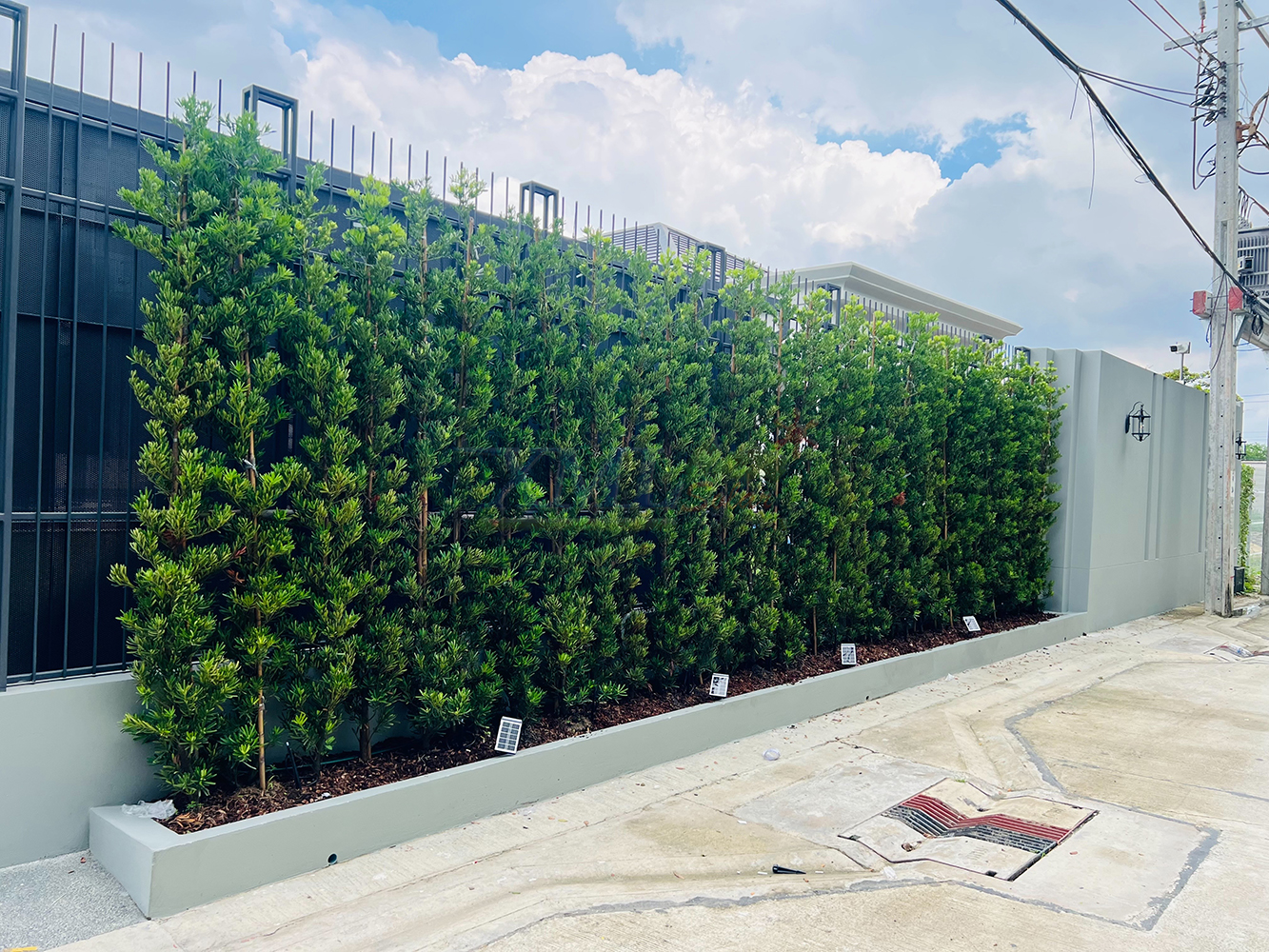 สปอร์ตไลท์ปักสนามโซล่าเซลล์ รุ่น SSL-001