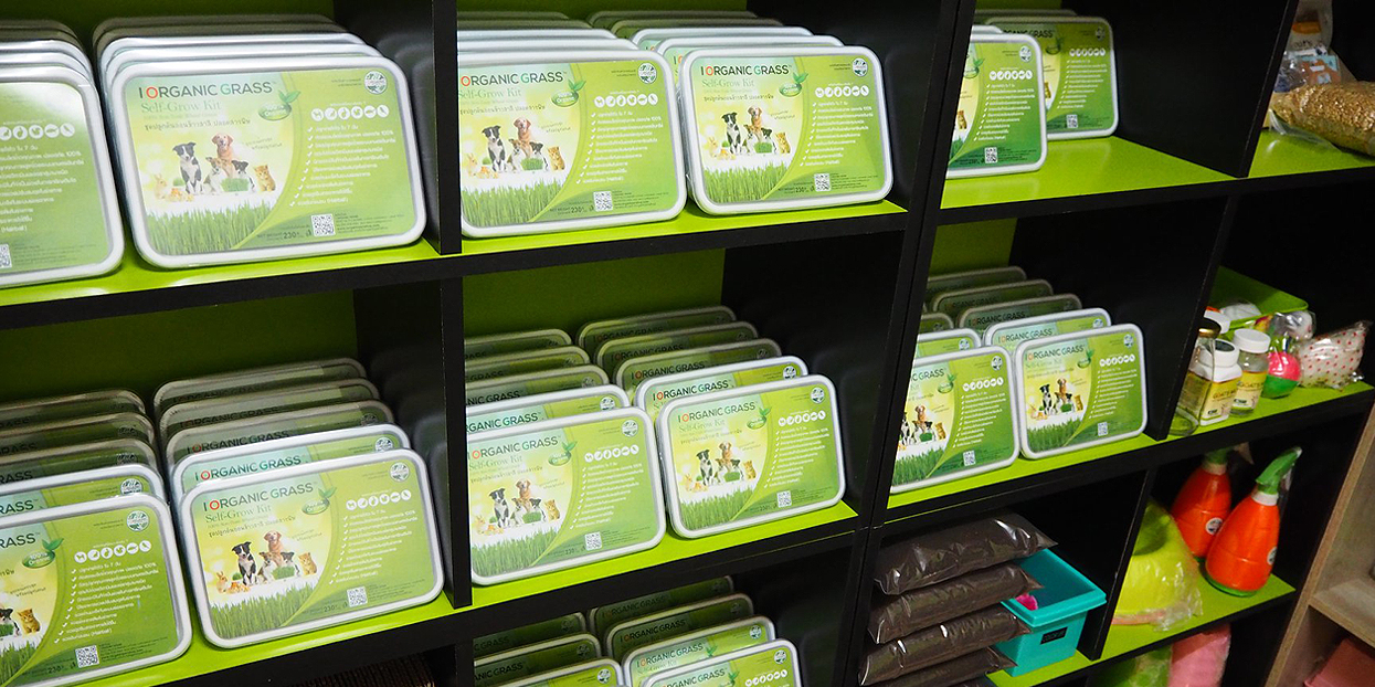 i Organic Pet Shop รีวิวชุดปลูกข้าวสาลี หญ้าแมว