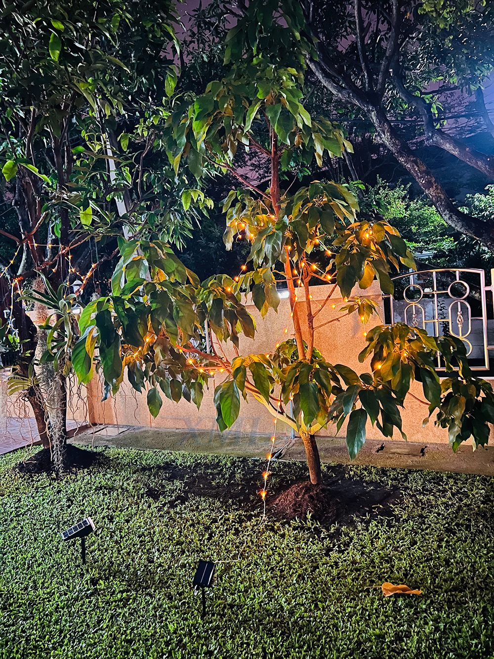 สปอร์ตไลท์ปักสนามโซล่าเซลล์ รุ่น SSL-001