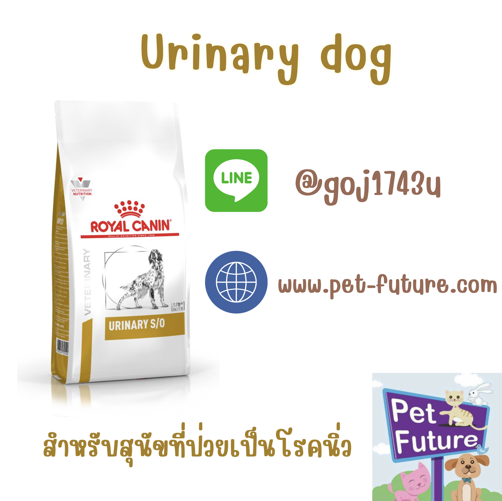 Urinary S/O ขนาด 13 Kg. โรคกระเพาะปัสสาวะติดเชื้อ,โรคนิ่วสตรูไวท์ออกซาเลต