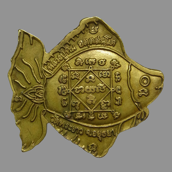 เหรียญปลาตะเพียนทอง หลวงปู่ทิม วัดพระขาว ปี2541