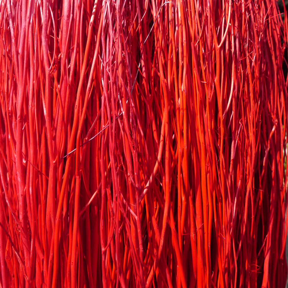 ก้านไม้งาไม่ตัด สีธรรมชาติ/ย้อมสี 100/300/500/1000g