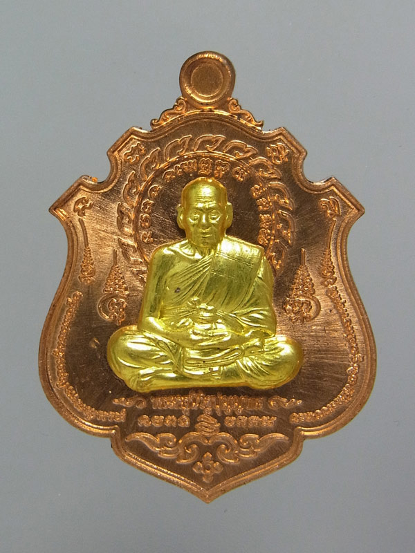 เหรียญพยัคฆ์เงินล้าน หลวงพ่อพัฒน์ ปี2563