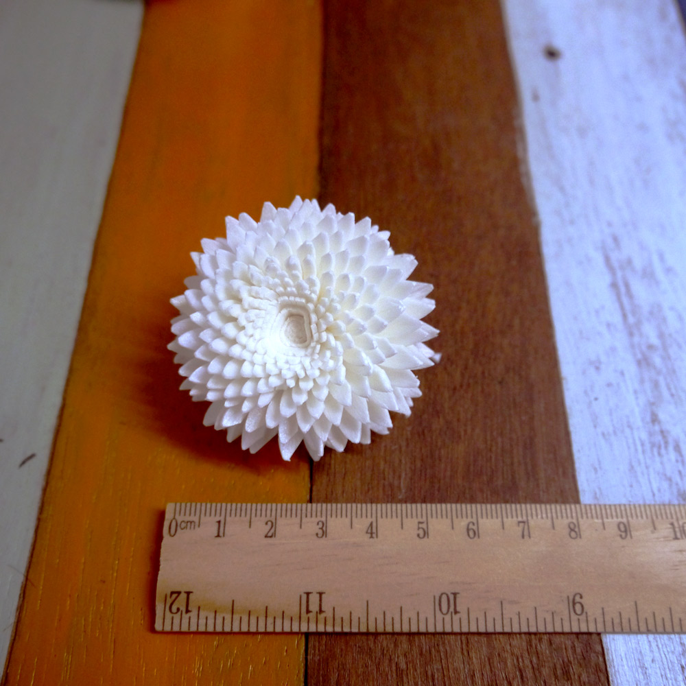 ดอกเยียบีร่า 5cm Dia.