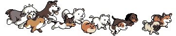 i Organic Pet Shop